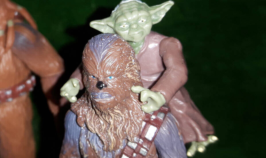 Chewbacca with Yoda