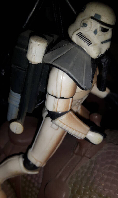 Sandtrooper with Dewback side